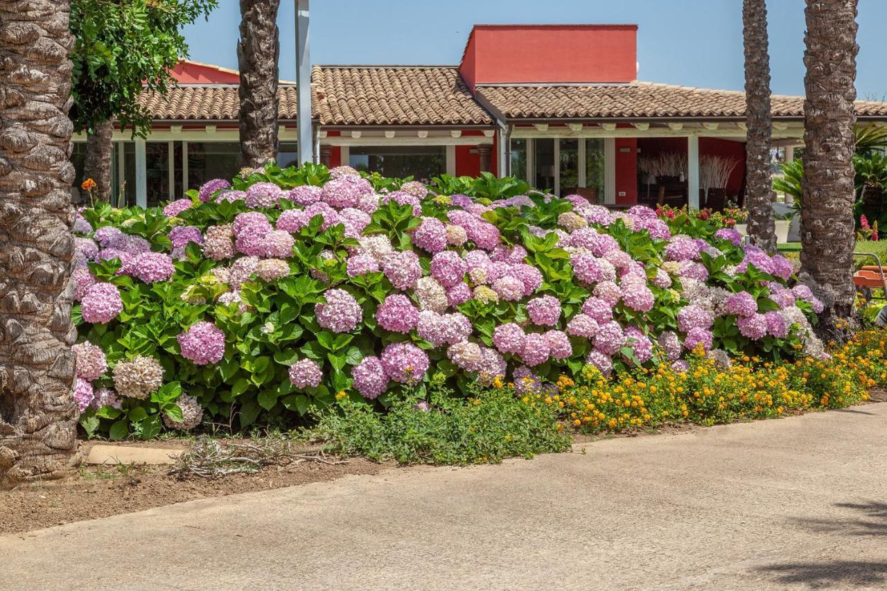 Il Giardino Degli Dei Villa San Leone Exterior foto