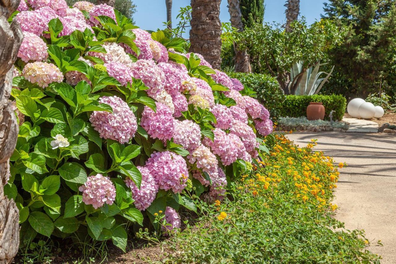 Il Giardino Degli Dei Villa San Leone Exterior foto